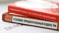 Бастрыкин затребовал доклад о расследовании гибели 23-летнего ставропольца
